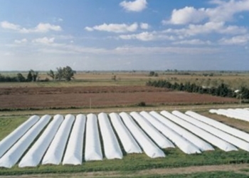 Con las retenciones a la baja, todavía quedan 15 millones de toneladas de soja sin vender