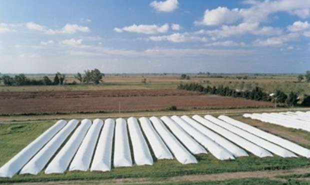 Con las retenciones a la baja, todavía quedan 15 millones de toneladas de soja sin vender