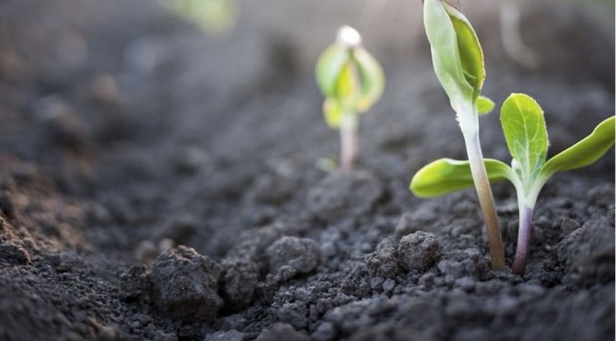 Guillermo Studdert: “Una ley de suelos que limite su uso y fomente prácticas conservacionistas”
