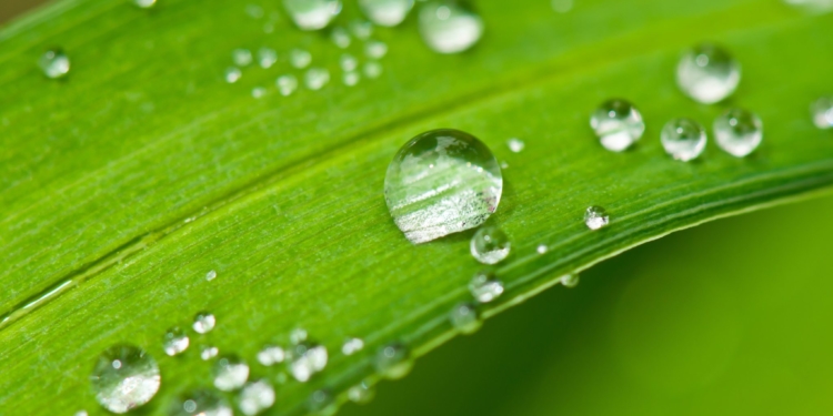 Una pregunta a los meteorólogos: ¿Cómo vienen las lluvias para la Gruesa?