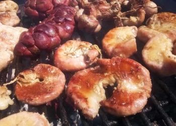 Sabores y Saberes: negros y mestizos en la cocina criolla argentina