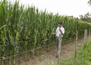 Juan Lariguet: “Brevant es la primera marca de la fusión de Dow y Dupont”