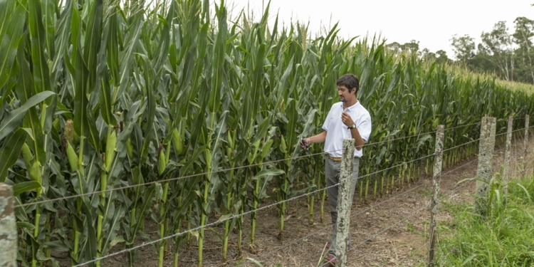 Juan Lariguet: “Brevant es la primera marca de la fusión de Dow y Dupont”