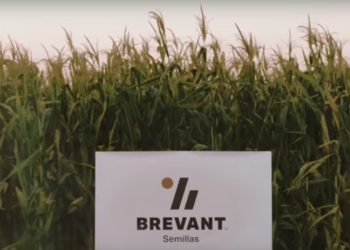 Tras la fusión con Dupont, las semillas de Dow ahora se llaman “Brevant”