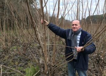 Vicente Dell’ Arciprete: “Botnia debería haber estado del lado argentino”