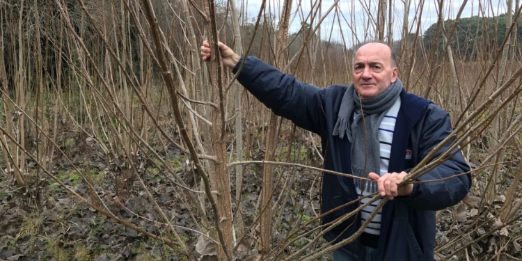 Vicente Dell’ Arciprete: “Botnia debería haber estado del lado argentino”