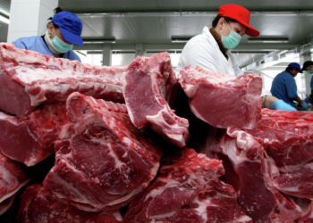 Para la cadena de la carne, donde “todo el año es carnaval”, en marzo debería terminarse con la joda