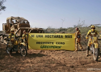 Greenpeace denucia: la mitad de los desmontes de 2017 se realizó en áreas protegidas