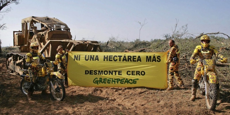 Greenpeace denucia: la mitad de los desmontes de 2017 se realizó en áreas protegidas