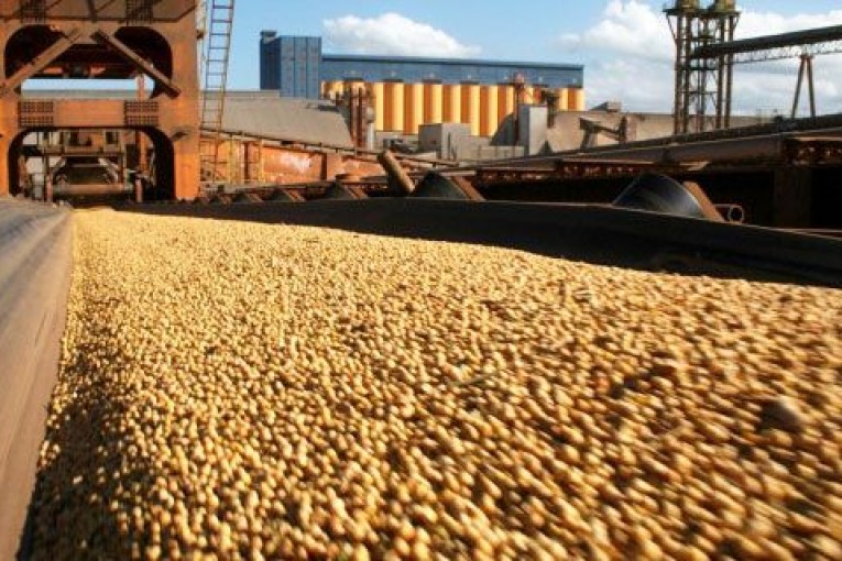 Por la seca, vuelven a reducir estimación de cosecha de soja y maíz