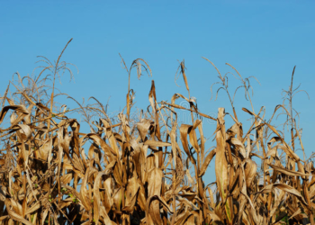 Seguro multirriesgo: si te he visto, no me acuerdo