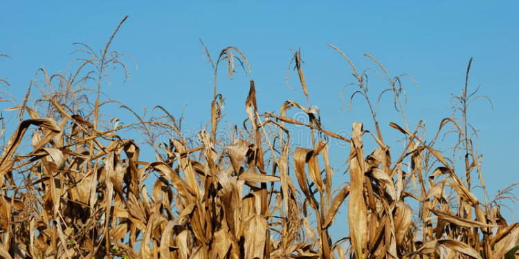 Seguro multirriesgo: si te he visto, no me acuerdo