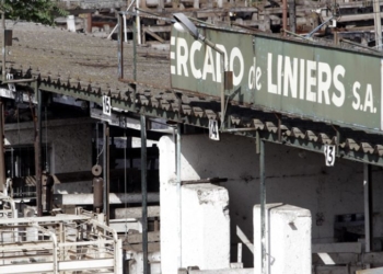 El Mercado de Liniers, bajo riesgo de desaparición