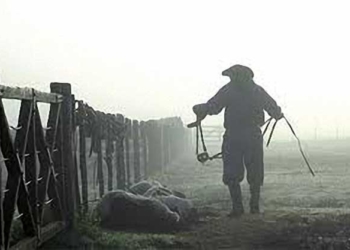 El agro sigue pagando los peores salarios, y tanto peores si vivís en Misiones o Tucumán