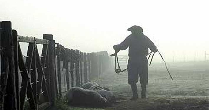 El agro sigue pagando los peores salarios, y tanto peores si vivís en Misiones o Tucumán