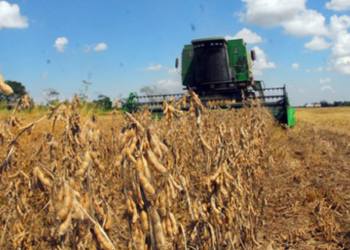 Recalculando: la Bolsa de Cereales ya redujo su estimación de soja a 51 millones de toneladas