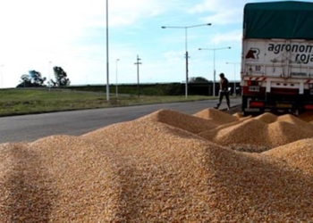 El Gobierno descarta fijar tarifas para el transporte de granos