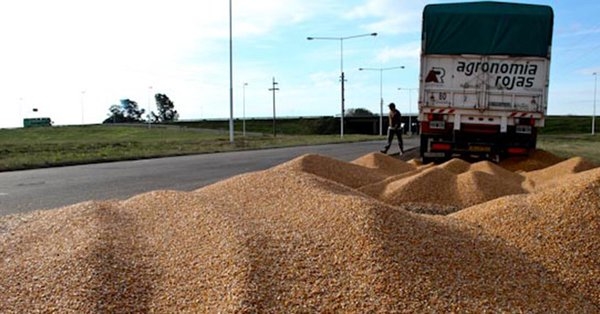 El Gobierno descarta fijar tarifas para el transporte de granos