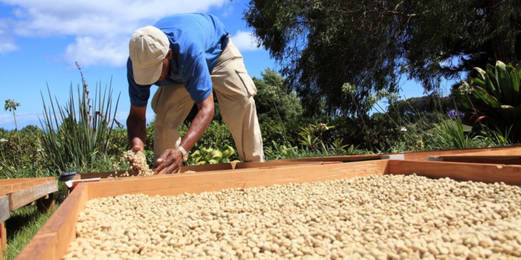 Como no se solucionó casi nada en un año, la agricultura familiar ahora tendrá su decenio