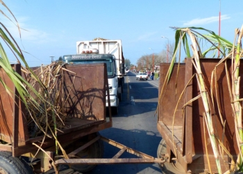 José María Jure: “Con este precio del bioetanol, el norte está transfiriendo $2.000 millones a las petroleras”