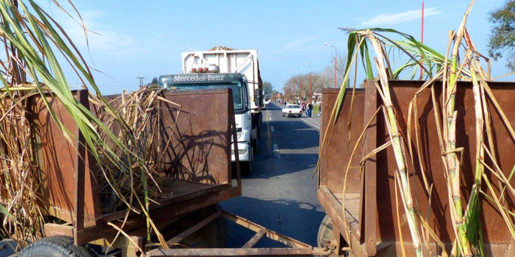 José María Jure: “Con este precio del bioetanol, el norte está transfiriendo $2.000 millones a las petroleras”