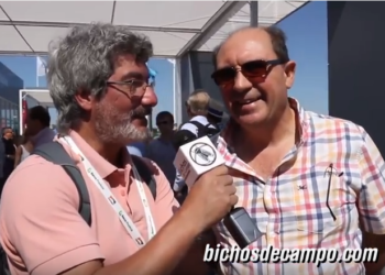 Julio Currás: “En el RENAF hemos encontrado personas que ni siquiera eran productores”