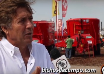 Llegó el Actimel al campo: las bacterias que le hacen bien a los cultivos