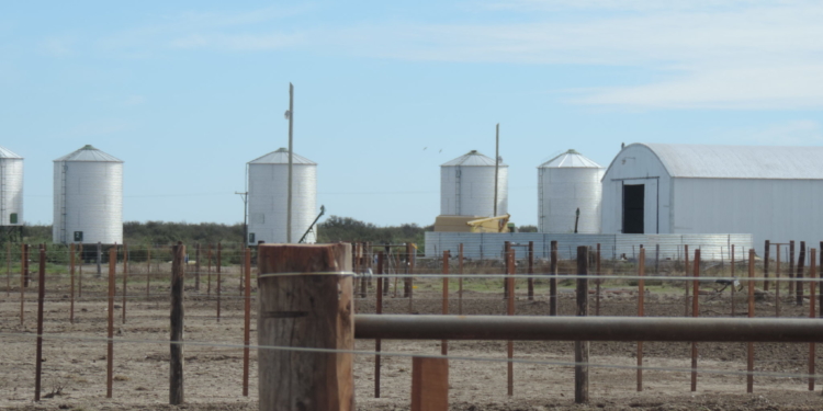 Postales de Río Negro: “El primer feedlot socialista de la Argentina”