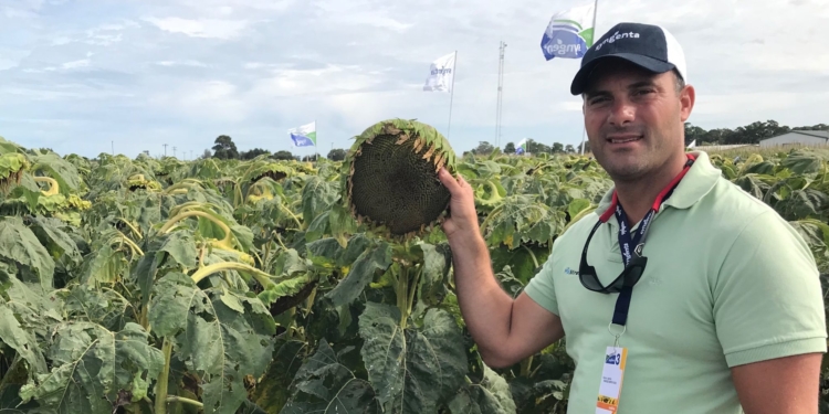Francisco Ciucci: “Con la soja con retenciones, el productor mira con cariño al girasol”