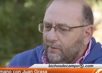 Juan Carlos Grasa: Cien veces escarbando en el Horizonte A