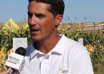 Matías Cardascia: “La tecnología Intacta termina costando 100 kilos de soja”