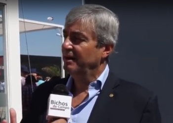 Néstor Roulet: “No se tomaron las decisiones correctas con el tema del bioetanol”