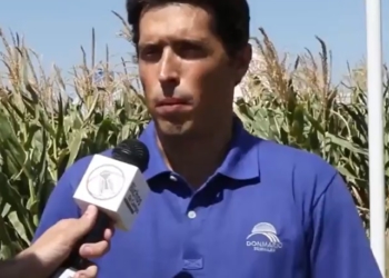 Agustín Pontacuarto: “El clima explica el 60% del éxito de un cultivo”