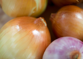 Luego de un año para llorar, se normaliza el mercado de la cebolla