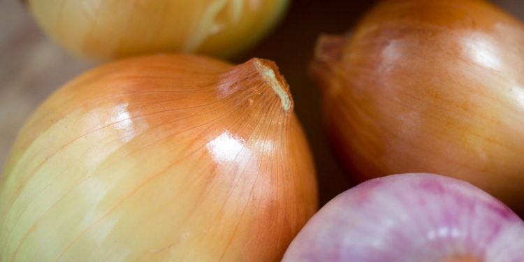 Luego de un año para llorar, se normaliza el mercado de la cebolla