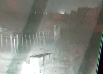 Le roban las ovejas y filmó al ladrón. Consecuencia: le roban más ovejas