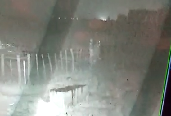 Le roban las ovejas y filmó al ladrón. Consecuencia: le roban más ovejas