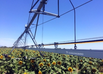 De todo como en botica, pero en el pivote de riego