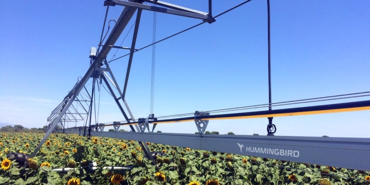 De todo como en botica, pero en el pivote de riego