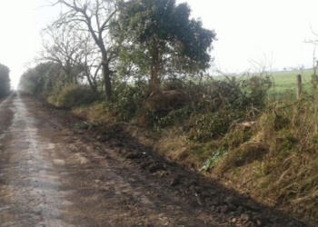 Marco Giraudo: “El proyecto vial de Córdoba será financiado 100% por los productores”