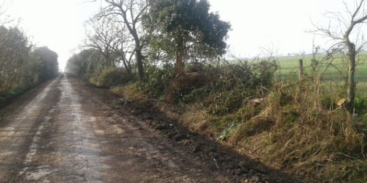 Marco Giraudo: “El proyecto vial de Córdoba será financiado 100% por los productores”