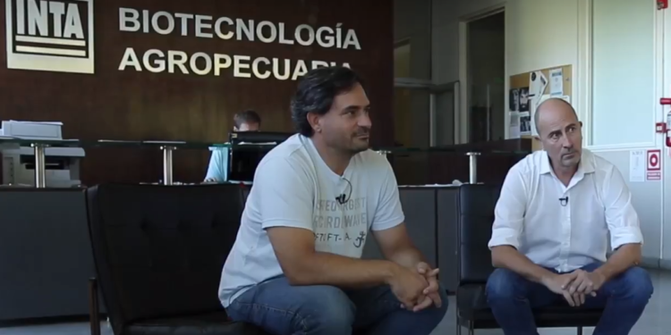 La biotecnología en INTA: “Aunque muchos crean que no servimos, somos el mayor semillero”