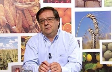Quién gana y quién pierde con la importación de soja de Estados Unidos, según Carlos Etchepare