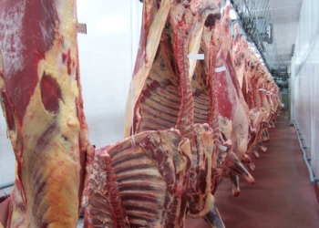 Rusia vuelve a jugar y ya es la tercera compradora de carne argentina