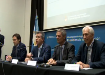 Mueca del destino: por la sequía, la producción de maíz superará por primera vez a la soja