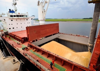 Las exportadoras se “suben” al cronograma de reducción de retenciones