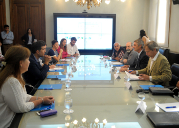 Tardó 45 días en crearse el grupo que tendrá 90 días para expedirse sobre las aplicaciones