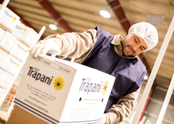 Alejandro Trapani: “La actividad citrícola genera 50.000 puestos de trabajo”