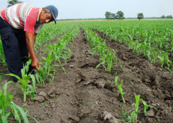 Más de la mitad de las economías regionales, con “signos de crisis”