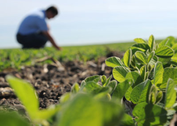 El día de la independencia… de los ingenieros agrónomos